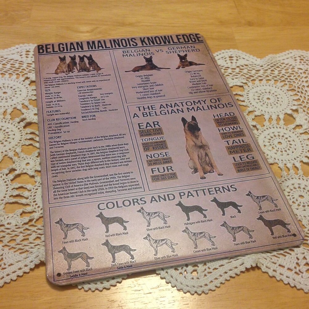 Belgian Malinois Information thin metal sign, new